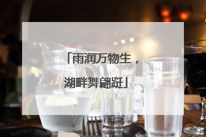 雨润万物生，湖畔舞翩跹