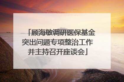 顾海敏调研医保基金突出问题专项整治工作并主持召开座谈会