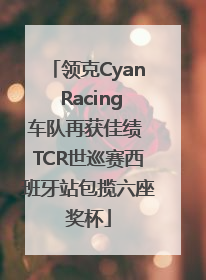 领克Cyan Racing车队再获佳绩 TCR世巡赛西班牙站包揽六座奖杯