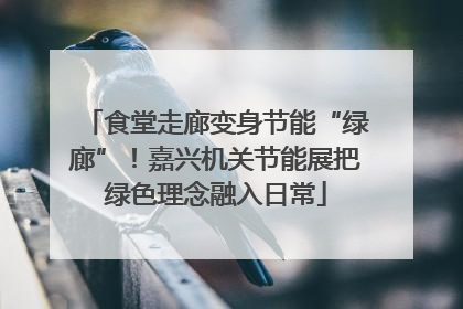 食堂走廊变身节能“绿廊”！嘉兴机关节能展把绿色理念融入日常