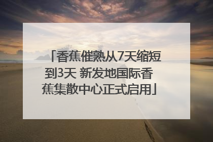 香蕉催熟从7天缩短到3天 新发地国际香蕉集散中心正式启用