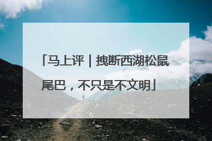 马上评｜拽断西湖松鼠尾巴，不只是不文明