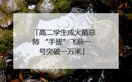 高二学生成火箭总师 “手搓”飞燕一号突破一万米