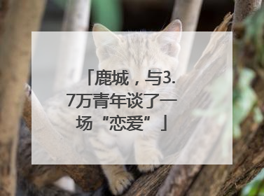 鹿城，与3.7万青年谈了一场“恋爱”
