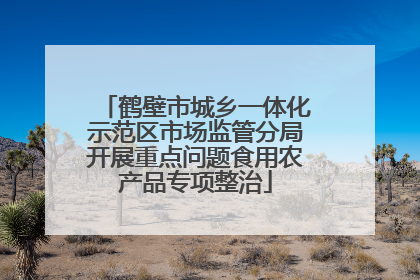 鹤壁市城乡一体化示范区市场监管分局开展重点问题食用农产品专项整治