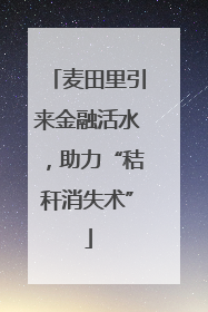 麦田里引来金融活水，助力“秸秆消失术”