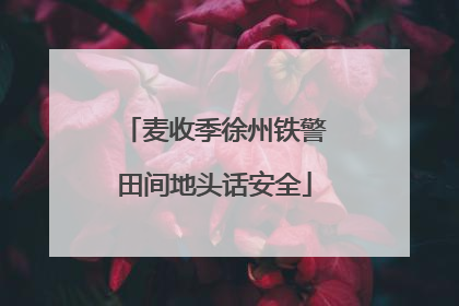 麦收季徐州铁警田间地头话安全