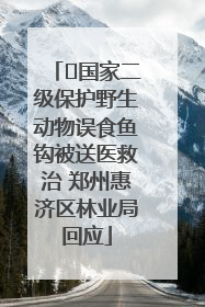 ﻿国家二级保护野生动物误食鱼钩被送医救治 郑州惠济区林业局回应