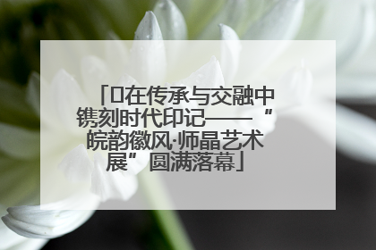 ﻿在传承与交融中镌刻时代印记——“皖韵徽风·师晶艺术展”圆满落幕