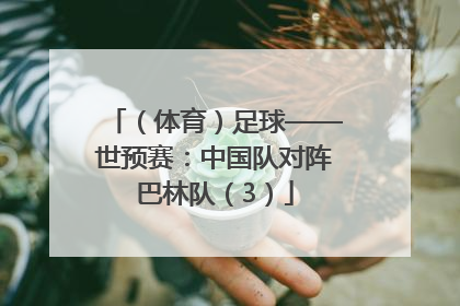 （体育）足球——世预赛：中国队对阵巴林队（3）
