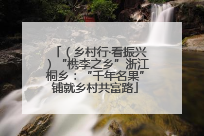 （乡村行·看振兴）“槜李之乡”浙江桐乡：“千年名果”铺就乡村共富路
