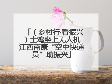 （乡村行·看振兴）土鸡坐上无人机 江西南康“空中快递员”助振兴