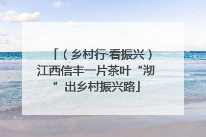 （乡村行·看振兴）江西信丰一片茶叶“沏”出乡村振兴路