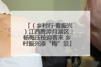 （乡村行·看振兴）江西鹰潭月湖区：杨梅压枝迎客来 乡村振兴添“梅”景