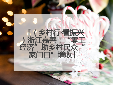 （乡村行·看振兴）浙江嘉善：“零工经济”助乡村民众“家门口”增收