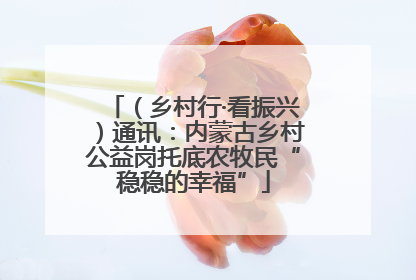 （乡村行·看振兴）通讯：内蒙古乡村公益岗托底农牧民“稳稳的幸福”