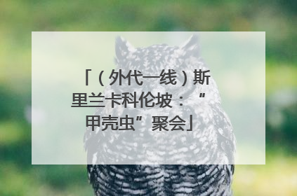 （外代一线）斯里兰卡科伦坡：“甲壳虫”聚会