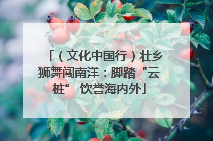 （文化中国行）壮乡狮舞闯南洋：脚踏“云桩” 饮誉海内外