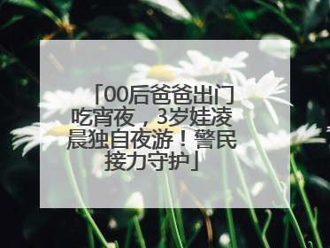 00后爸爸出门吃宵夜，3岁娃凌晨独自夜游！警民接力守护