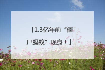 1.3亿年前“僵尸蚂蚁”现身！