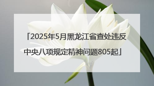 2025年5月黑龙江省查处违反中央八项规定精神问题805起