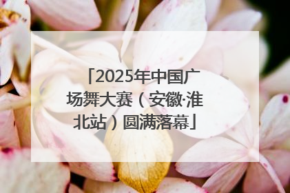 2025年中国广场舞大赛（安徽·淮北站）圆满落幕