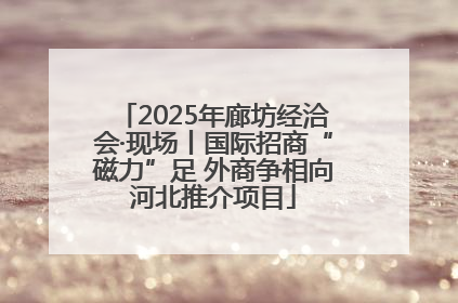 2025年廊坊经洽会·现场丨国际招商“磁力”足 外商争相向河北推介项目
