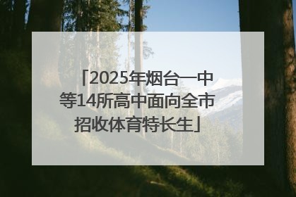 2025年烟台一中等14所高中面向全市招收体育特长生