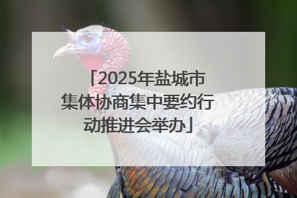 2025年盐城市集体协商集中要约行动推进会举办