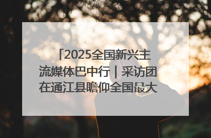 2025全国新兴主流媒体巴中行｜采访团在通江县瞻仰全国最大红军烈士陵园
