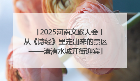2025河南文旅大会丨从《诗经》里走出来的景区——溱洧水城开街迎宾