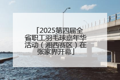 2025第四届全省职工羽毛球嘉年华活动（湘西赛区）在张家界开幕