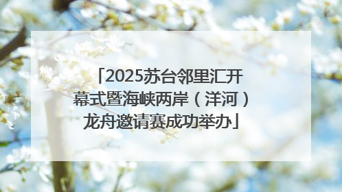 2025苏台邻里汇开幕式暨海峡两岸（洋河）龙舟邀请赛成功举办