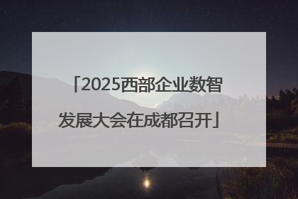2025西部企业数智发展大会在成都召开