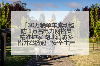 30万辆单车流动巡防 1万名电力网格员精准护家 湖北消防多措并举掀起“安全生产月”宣传热潮