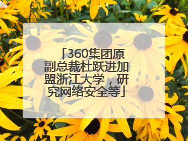 360集团原副总裁杜跃进加盟浙江大学，研究网络安全等