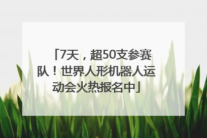 7天,超50支参赛队!世界人形机器人运动会火热报名中