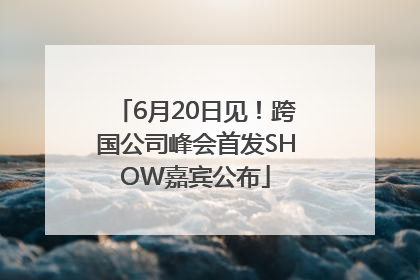 6月20日见！跨国公司峰会首发SHOW嘉宾公布