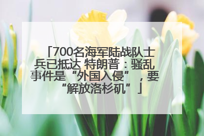 700名海军陆战队士兵已抵达 特朗普：骚乱事件是“外国入侵”，要“解放洛杉矶”